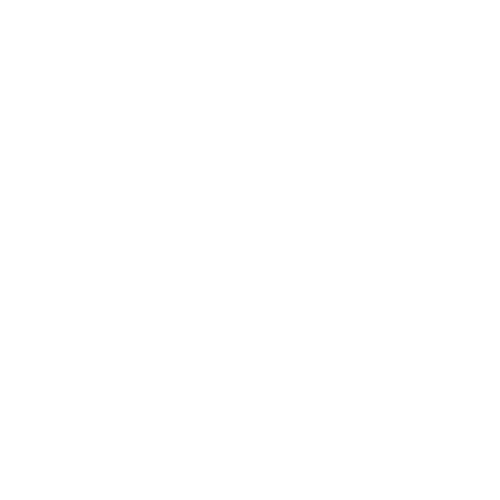Renee Browne Photography White Logo